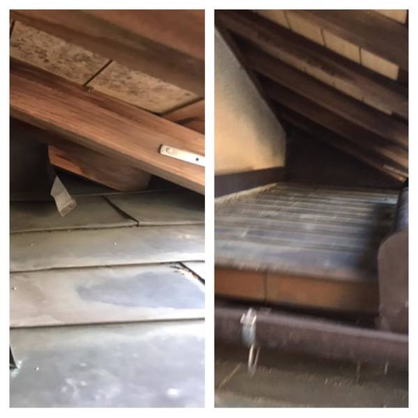 北九州市八幡西区でのアライグマ対策工事・完了です～BIORESCUE虫の１１０番まで