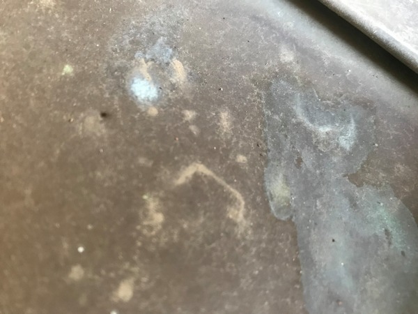 北九州市八幡西区でアライグマ対策をお考えなら～BIORESCUE虫の１１０番まで