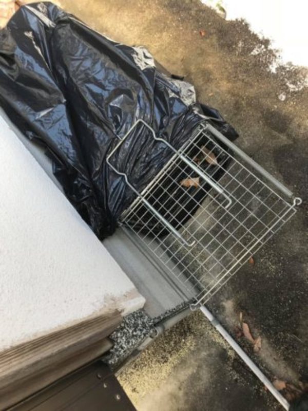 イタチ駆除のノウハウ②【飯塚市のイタチ駆除の例から】～ＢＩＯＲＥＳＣＵＥ虫の１１０番