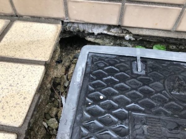 福岡市周辺でネズミの被害にお悩みなら当社へ【福岡市早良区・ネズミ調査】