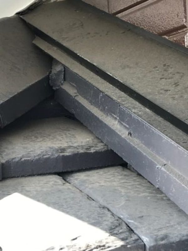 直方市でイタチの被害にお悩みなら当社へ【直方市・イタチ捕獲工事】