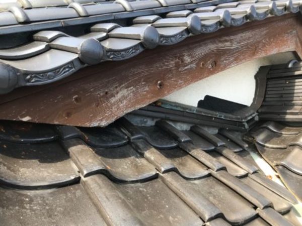 田川市・田川郡周辺でアライグマでお困りなら当社へ【福智町上野・アライグマ追い出し工事】