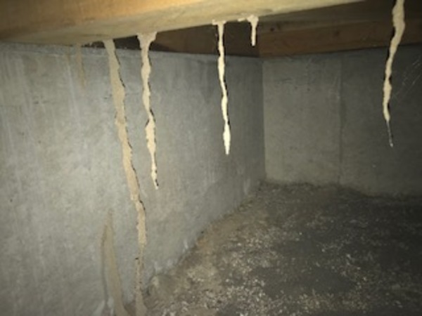 福岡市周辺でシロアリ駆除に業者をお探しなら当社へ【那珂川市・ヤマトシロアリ駆除】