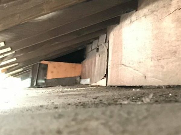 ネコにお困りなら～福岡の害虫駆除・害獣駆除ならBIO RESCUE 虫の110番へ 【北九州市若松区・猫対策工事】